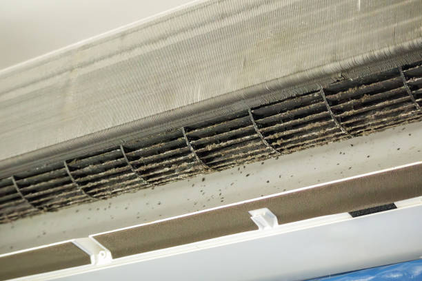 Best Air Duct Cleaning Near Me  in Lewistown, MT
