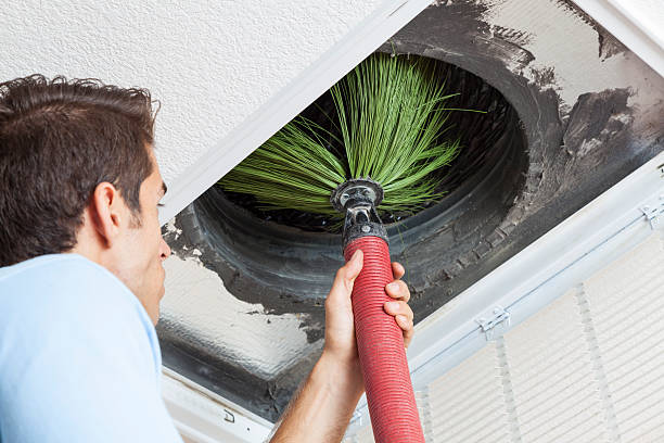 Best Ductwork Cleaning Services  in Lewistown, MT